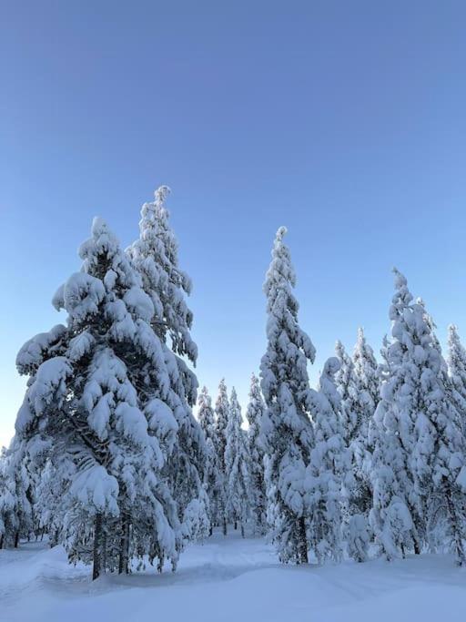 Cozy House Close To Santavillage Rovaniemi Ngoại thất bức ảnh